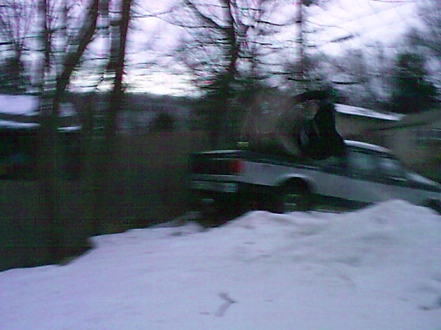 pic_0764.jpg