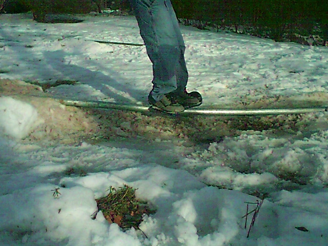 pic_0800.jpg